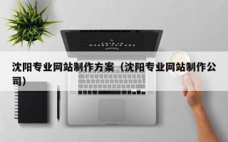 昌吉沈阳专业网站制作方案（沈阳专业网站制作公司）